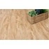 SPC ламинат Alpine Floor Classic ECO 152-9 Бук SPC ламинат Alpine Floor Classic ECO 152-9 Бук