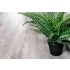 SPC ламинат Alpine Floor Classic ECO 134-5 Ясень Серый SPC ламинат Alpine Floor Classic ECO 134-5 Ясень Серый