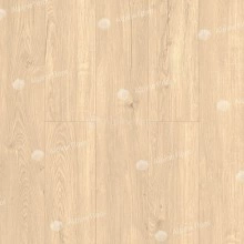 SPC ламинат Alpine Floor Секвойя натуральная ECO 6-9