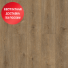 SPC плитка Alpine Floor Solo Plus Ларгетто ЕСО 14-301