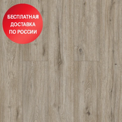 SPC ламинат Alpine Floor Solo Прэсто ЕСО 14-8 SPC ламинат Alpine Floor Solo Прэсто ЕСО 14-8
